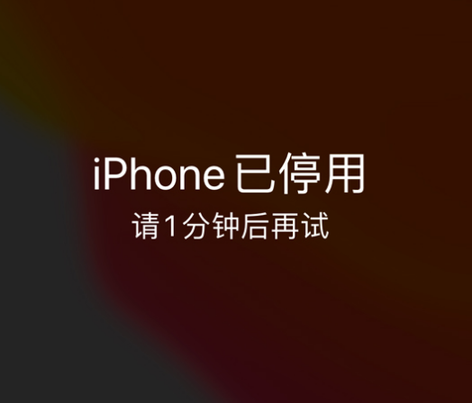 解放苹果手机维修分享:iPhone 显示“不可用”或“已停用”怎么办？还能保留数据吗？ 