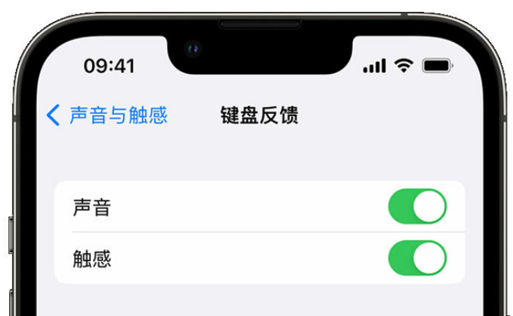 解放苹果手机维修分享iPhone 14触感键盘使用方法 