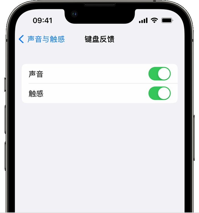 解放苹果14维修店分享如何在 iPhone 14 机型中使用触感键盘 