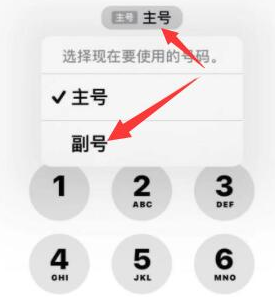 解放苹果14维修店分享iPhone 14 Pro Max使用副卡打电话的方法 