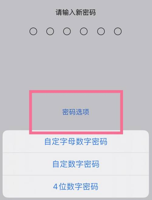 解放苹果14维修分享iPhone 14plus设置密码的方法 